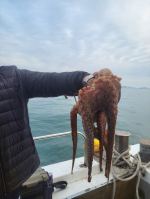 쭈갑백조황 글만 보기