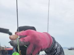 9월14 해성호