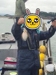 25.9.20 쭈갑조황