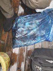 10월5일 안면도용성호 조항입니다
