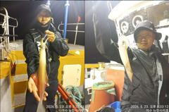 뉴~한사리호 24일철수 한치 조황입니다