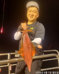 여수 6월1일 대포한치 조황입니다