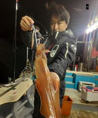 여수 한치 6월6일 철수조황입니다