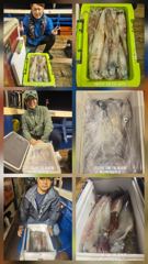 한치  싸이즈도  좋고   마릿수도  좋아지고  있습니다.  화요일5자리여유  이번주  기상도 좋고 물때도 좋습니다     한치  세자리수   대박조황을  위해   열심히   달려보겠습니다.  출조하실분  연락주세요.  감사합니다 