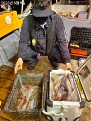 한치 283,257,230수등 대부분 세자리수 소쿠리,자루등 퍼담고