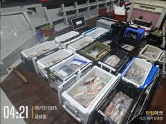 쌍걸이 미사일[한치~한치]12일입항 오늘요만큼[월요일부터]예약가능