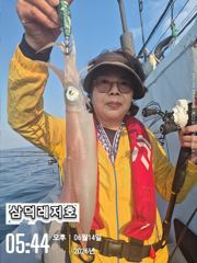 [한치]청기,백기,피딩,피딩,100수 오바(화요일 출항확정,예약중)