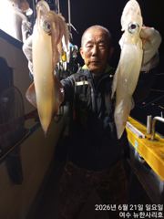 여수/한치 22일철수조황