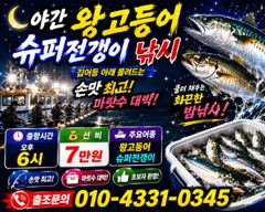 7/4 좋아 좋아 고등어,전갱이 쿨러가득... 꾸준하게 계속 올라와 주었읍니다. (항상 출항준비 완료)