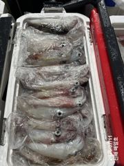 [왕한치]토요일1자리펑크있어요~ 일요일부터 다음주 평일/주말 예약가능합니다^ㅡ^