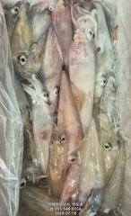 18일,한치,먹물폭탄 손맛 보러 오세요,오늘자리여유(예약가능),일요일 문어  