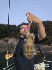 8/3 감자들사이에 키로급들 무늬오징어 통영베이피싱