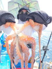 7.26 문어조황