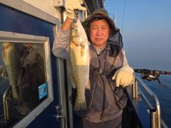 뉴패밀리호 농어 대박 조황입니다! 8시50분 조기철수