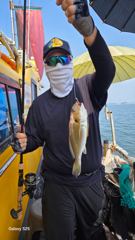 [서산,태안] 지렁이 맛나보이게 자알 끼우시고 기다리시면 후두둑~!! 백조기배…