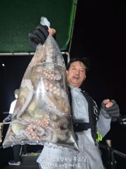 [먹물조황] 삼천포 문어조황! 주간반 , 야간반 매일출조!