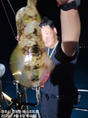 [경주] 본격적인 무늬오징어 팁런 시작~~ 금요일도 예약중입니다