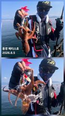 [통영] 통영] 문어 사량도 굴어장 조황 4일(화), 5일(수) 통영 메…
