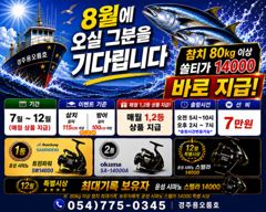 [경주] 8/8 대삼치 실시간 조황입니다.