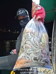 오늘의조황 - 삼천포 문어조황! 주간반, 야간반 매일출조! - 삼천포 더블케이호,배낚시,바다낚시