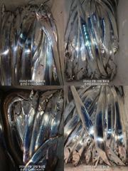 마산 내만갈치 오늘 예약가능 자리여유