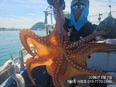 [진해] "돌문어"강풍에 KKK들과 트리플힛트!! 개인13수12수10수외…