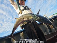 폭풍이 끝나면 바로 대삼치 사냥 나갑니다!
