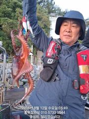 (문어)22시 출발 500g~K급까지 HIT HIT~홍부장피싱(오늘 예약)