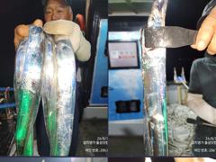 [마산] 갈치/고등어 같이 놀자!