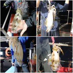 8월15~16일 이런애들 만나러 갑시다.. 저녁7시 무늬출조