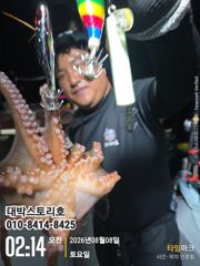 사량도 돌문어 ~ 출항합니다~
