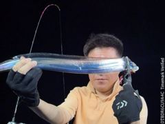 태풍 지나고 칼치
