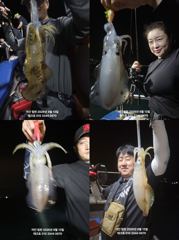 8/13)첫 출조 야간무늬 오징어-토(모집)/야간대전갱이-금(모집)