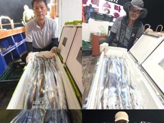 여수갈치[대교낚시] 폭탄갈치 갈치조황,,,오늘 빈자리 여유