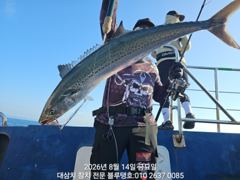 14/금ㅡ남동풍과 함께 대삼치들 조황!