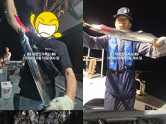 진해내만갈치~ 굵직한 시알~잔시알~ 많타 많아~~일,월,화 예약가능~~