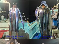 [통영] 통영백가피싱)오늘3자리/오랜만에 먼바다 왕갈치 조황 올려 봅니…