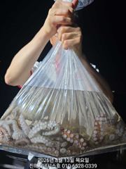 문어] 마릿수 굿!!~ 월욜부터 야간예약가능~고고!!