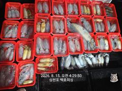 무늬 팁런 조황~ 마릿수 굿~! 일요일 부터 무늬 자리 예약 가능 합니다^^