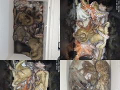 14일.마리수 터져 올라오기 시작하는 야간~돌문어 마리수 잡으러 출조 갑니다@ 일,월료일~예약가능