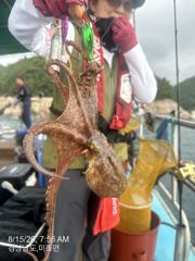 [사천] 내일 수중전갑니다 자리여유 많습니다