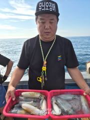 강구 인스타피싱 ~ 무늬팁런.. 기상만 좋으면 매일 출항합니다.. 예약가능합니다