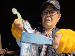 내만칼치ㅡ 엄청나게 올라오네요. 루어.텐빈 가리지않고 잘 물어요 (예약가능)
