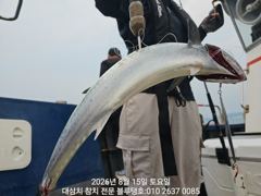 15/토ㅡ대삼치들 조황입니다!