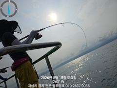15/토ㅡ대삼치들 조황입니다!
