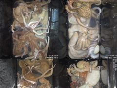 [진해] 15일.퍼담듯 올라와 잡고온 야간~돌문어 마리수 잡으러 출조 갑…