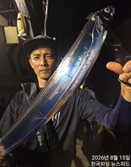 준내만갈치씨알보소입항철수조황(내일예약가능)