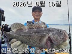 26년 8월 16일!! 인천 썬스타호 우럭대회 조황사진 입니다~^.^