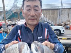 [부산] 15일(토) 감성돔 낚시 조황입니다~!