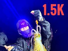 [통영] 주말무늬팁런예약중!